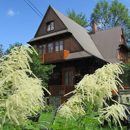 Bed and Breakfast Willa Dewajtis à Zakopane Extérieur photo