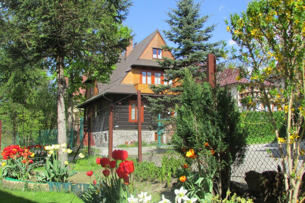 Bed and Breakfast Willa Dewajtis à Zakopane Extérieur photo