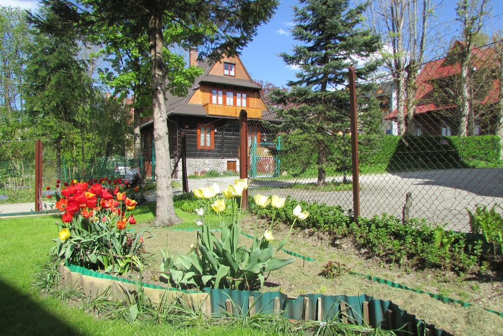 Bed and Breakfast Willa Dewajtis à Zakopane Extérieur photo