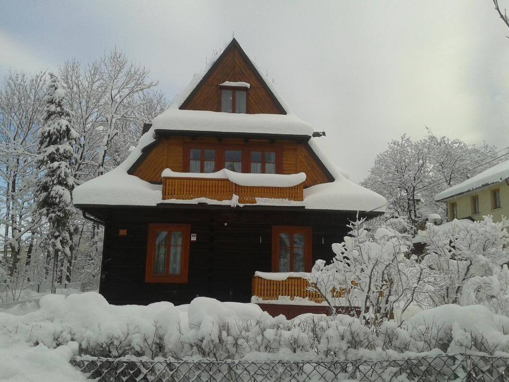 Bed and Breakfast Willa Dewajtis à Zakopane Extérieur photo