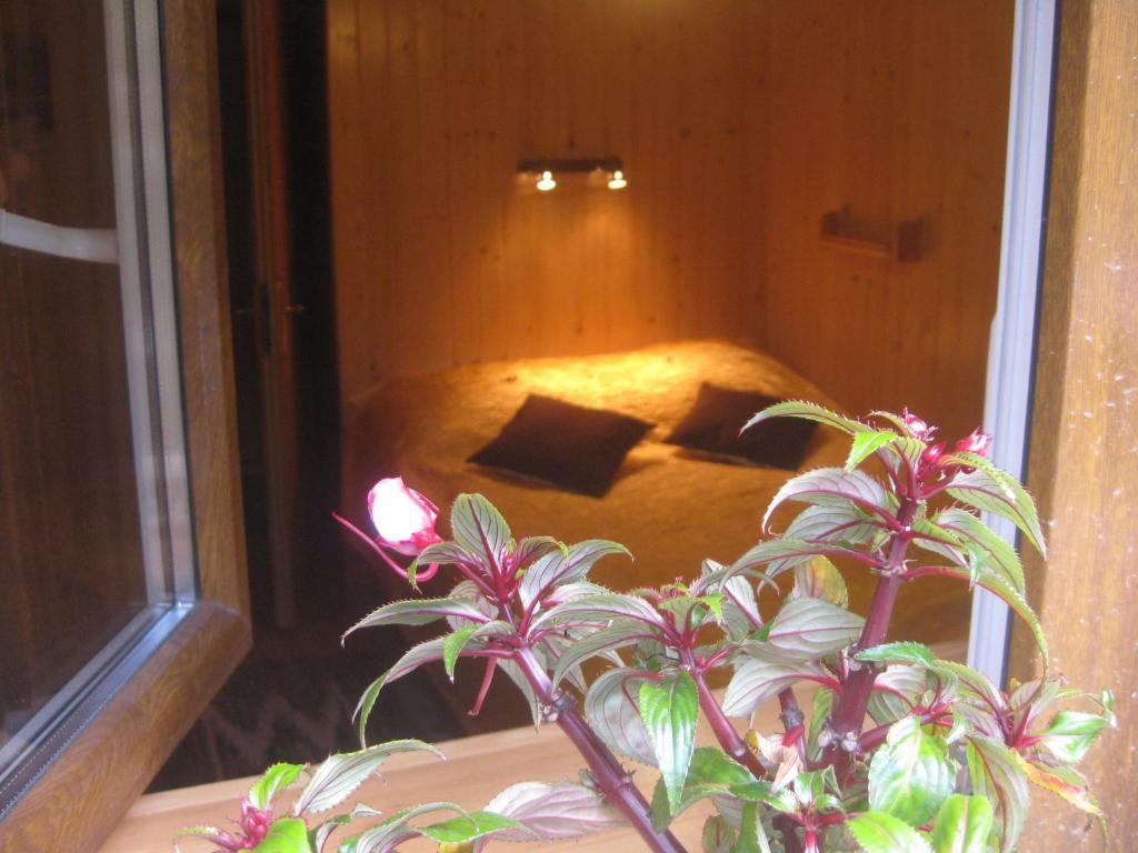 Bed and Breakfast Willa Dewajtis à Zakopane Chambre photo